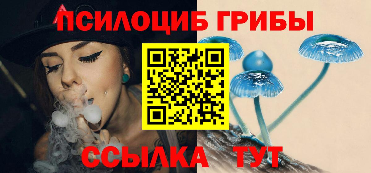 Галлюциногенные грибы Psilocybine cubensis  Псилоцибиновые грибы мицелий  Вход с VPN  Надым 