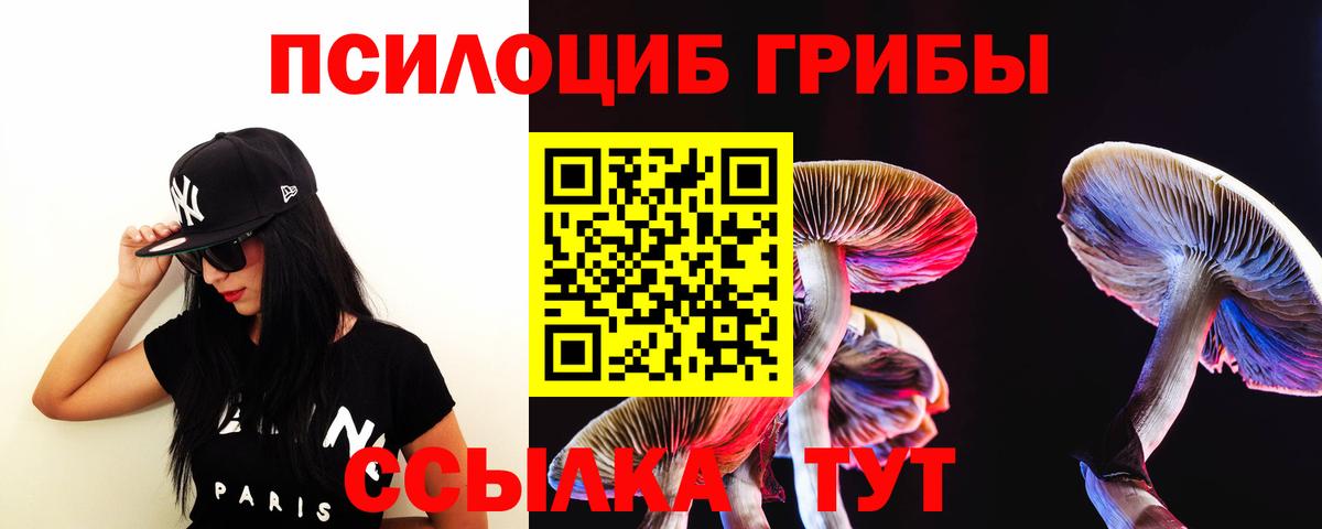 Псилоцибиновые грибы GOLDEN TEACHER Надым